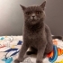 sevgi dolu bir yuva arıyorum fotoğraf