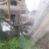 Çok sevecen kucak delisi fotoğraf