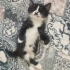 Bu güzellere sıcak yuva fotoğraf