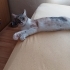 SEVGİ DOLU ASEL fotoğraf