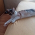 SEVGİ DOLU ASEL fotoğraf