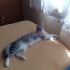SEVGİ DOLU ASEL fotoğraf