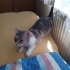 SEVGİ DOLU ASEL fotoğraf
