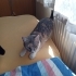 SEVGİ DOLU ASEL fotoğraf