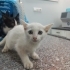 Klinikten 3,5 Aylık Bebekler💕 fotoğraf