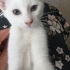Acil yuva arıyorum fotoğraf