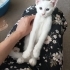 Acil yuva arıyorum fotoğraf