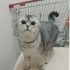 Acil Ankara Yuva fotoğraf