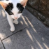 YUVASINI ARAYAN 2 AYLIK MİNİK BİR BEBEK fotoğraf
