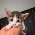 Minnacık sevgi dolu bir bebek🧿🐱 Avuç içi kadar fotoğraf