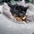 Zeyna kendisine evini ve kalbini açacak meleğini bekliyor fotoğraf