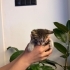 5 kardesten ikisi cok mazlumlar fotoğraf
