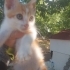 O çok güzel bir sarman bebek fotoğraf
