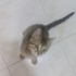 Evden atılmış sokakta sürekli ağlıyor fotoğraf