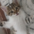 Oyun oynamayı çok seviyo çok sevecen fotoğraf