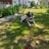 LÜTFEN MAYKO’YA BİR ŞANS VERİN 🐾 fotoğraf