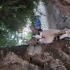 ACİL YUVA ARIYORUZ fotoğraf