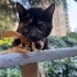 Zeyna kendisine evini ve kalbini açacak meleğini bekliyor fotoğraf