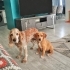 2,5 AYLIK PARKA SIĞINAN BEBEĞE TİNERCİLER EZİYET EDİYORDU🥺 fotoğraf