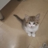 2 AYLIK DİŞİ VE ERKEK YAŞAM KAYNAKLARI fotoğraf