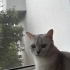Sevimli oğlumuza yuva arıyoruz fotoğraf