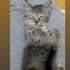 Kardeşlere yuva fotoğraf