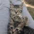 Kardeşlere yuva fotoğraf