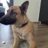Geçici kalıcı yuva ariyoruz fotoğraf