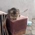 ŞAŞI GÜZELLİK YUVA ARIYOR fotoğraf