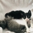 Anneleri terk etti fotoğraf