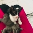 Anneleri terk etti fotoğraf