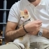 Çok akıllı ve sevecen fotoğraf