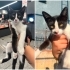 BEBEK KARDEŞLER SOKAKTA fotoğraf