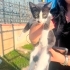 BEBEK KARDEŞLER SOKAKTA fotoğraf