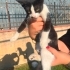 BEBEK KARDEŞLER SOKAKTA fotoğraf