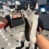 BEBEK KARDEŞLER SOKAKTA fotoğraf