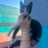 BEBEK KARDEŞLER SOKAKTA fotoğraf