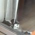 Uyumlu, kucak bağımlısı lily fotoğraf