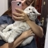 Atlas çok cana yakın aşırı akıllı acil yuva arıyoruz fotoğraf