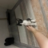 Fiko için ömürlük yuva arıyoruz fotoğraf