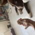 annesiz sarman bebek fotoğraf