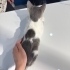 Yavruya ömürlük yuva fotoğraf