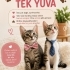 Yapışık ikizler yuva arıyor fotoğraf