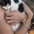 🐾 ACİL YUVA ARANIYOR – 3 AYLIK ERKEK YAVRU 🐾 fotoğraf