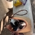 🐾 ACİL YUVA ARANIYOR – 3 AYLIK ERKEK YAVRU 🐾 fotoğraf