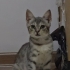 Sokağa Dönmek Zorunda Olan Masum fotoğraf