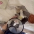 Motorun Çarpıp Kaçtığı Masum fotoğraf