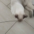 Mira'ya Kalıcı Sevgi Dolu Bir Yuva fotoğraf