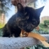 Zeyna kendisine evini ve kalbini açacak meleğini bekliyor fotoğraf