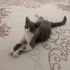 Ailem olur musun fotoğraf